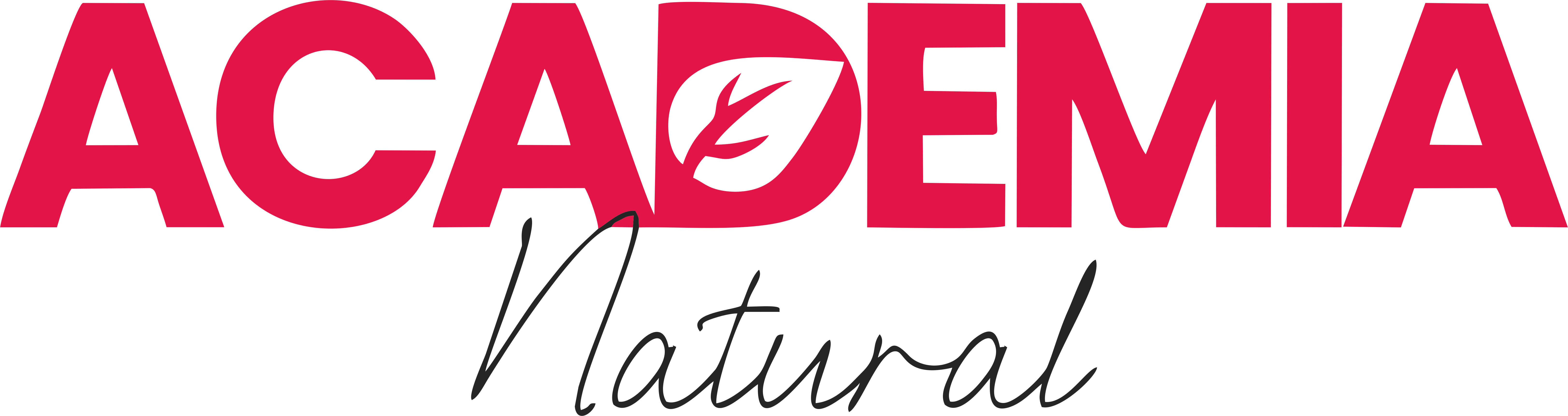 Academia Natural Logo